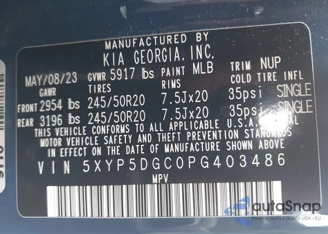 2023 Kia Telluride Sx из США, поврежденный, VIN 5XYP5DGC0PG403486